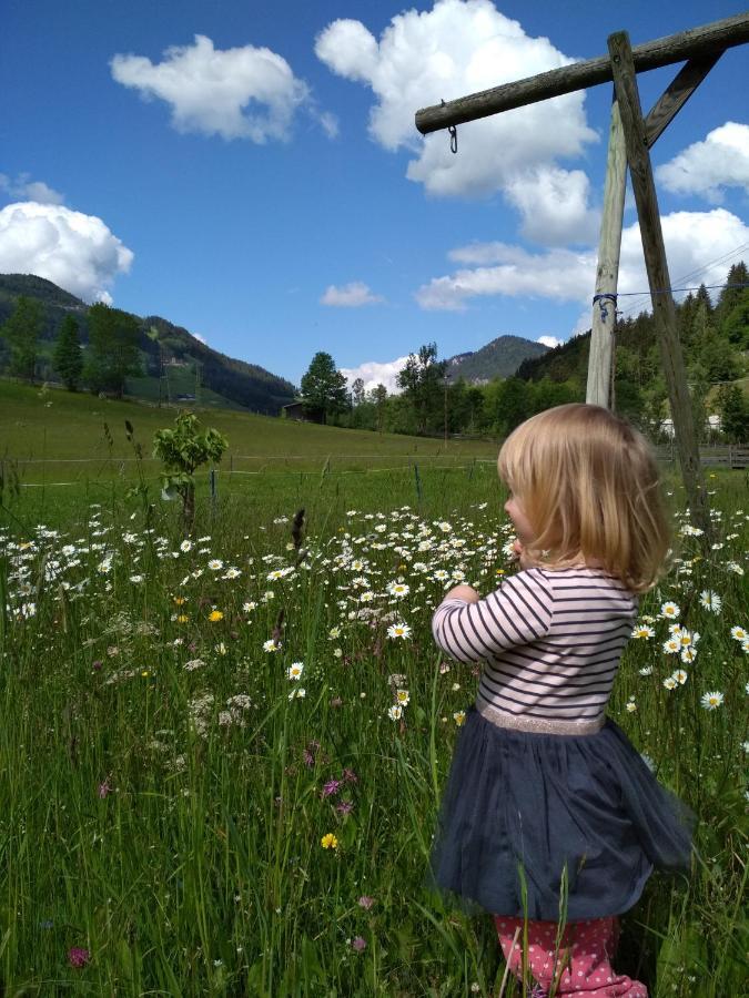 Villa Blonbauer Schladming Esterno foto