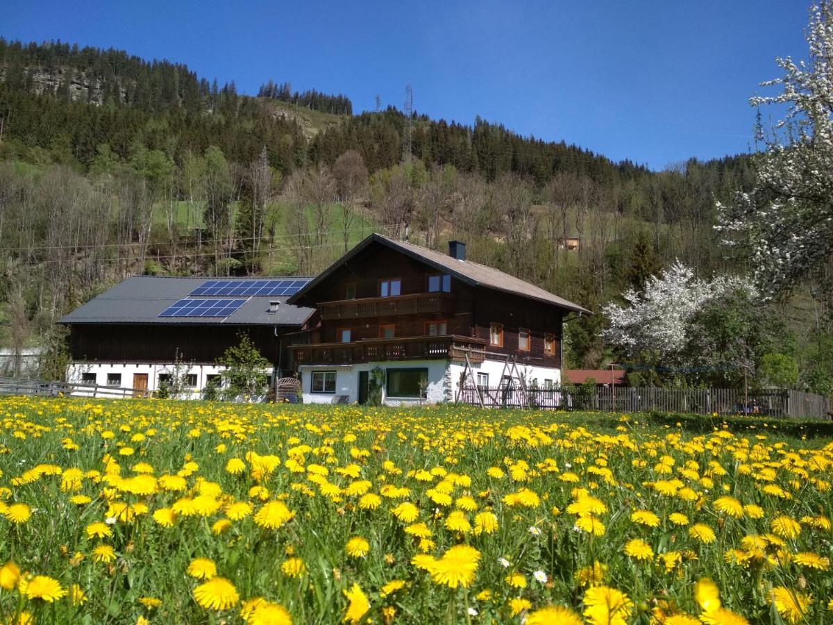 Villa Blonbauer Schladming Esterno foto