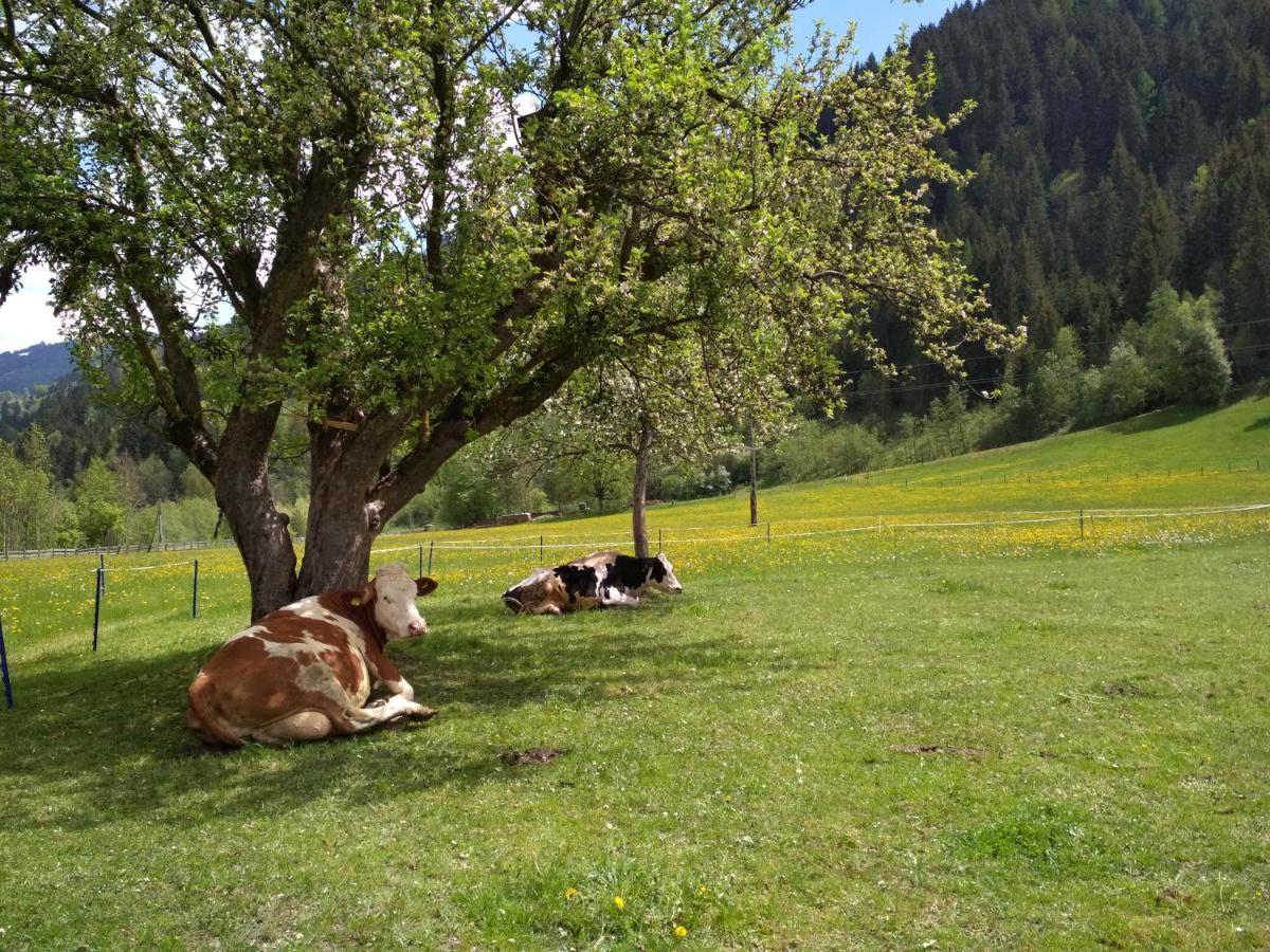 Villa Blonbauer Schladming Esterno foto