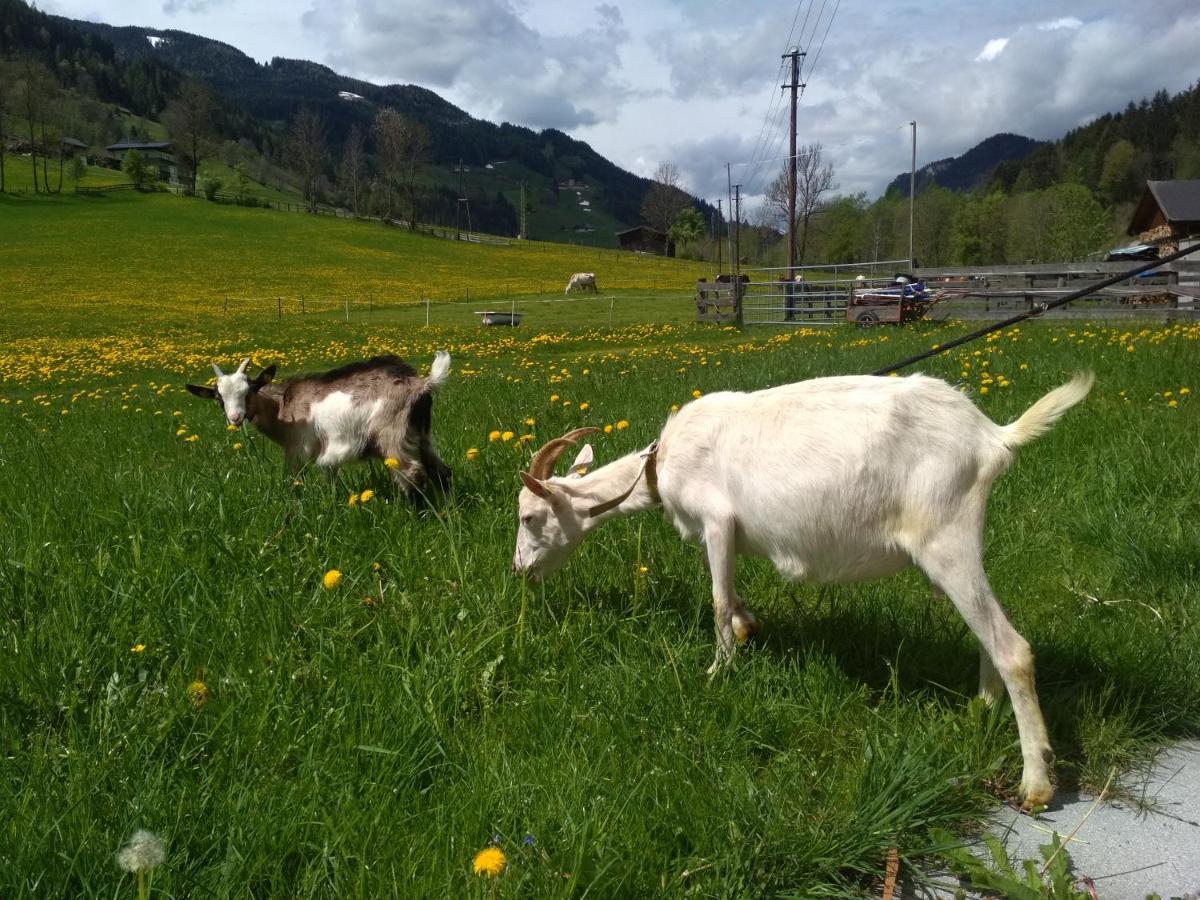 Villa Blonbauer Schladming Esterno foto